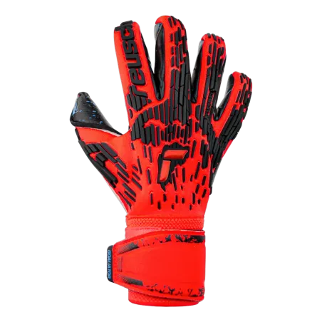 Gants de gardien Attrakt Freegel Fusion Goaliator