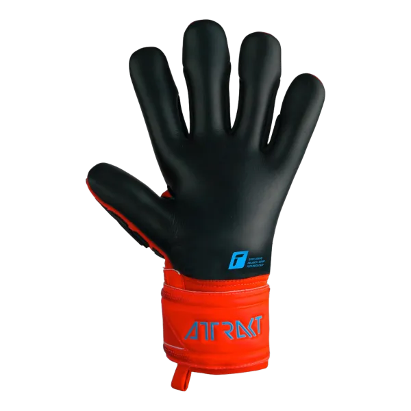 Gants de gardien Attrakt Freegel Silver Jr
