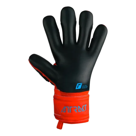 Gants de gardien Attrakt Freegel Silver Jr