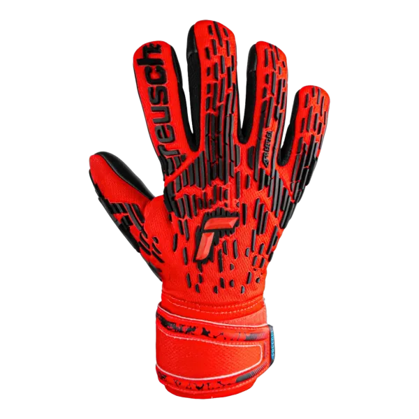 Gants de gardien Attrakt Freegel Silver Jr