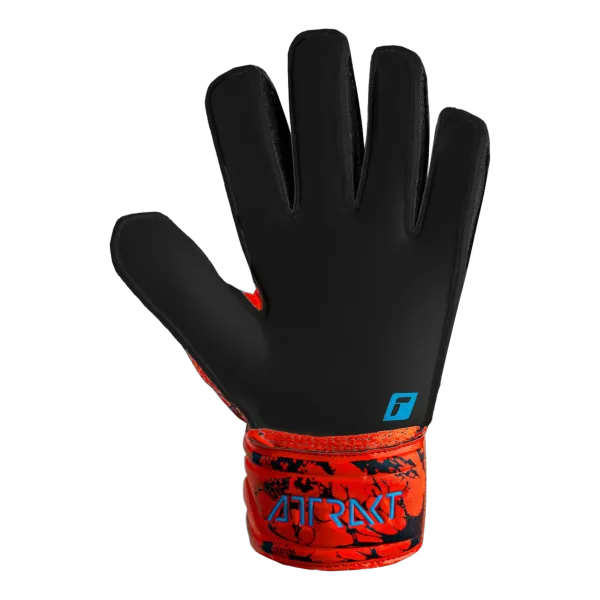 Gants de gardien Attrakt Solid Hugo Jr