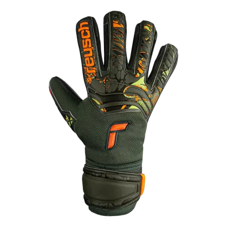 Gants de gardien Attrakt Grip Evolution