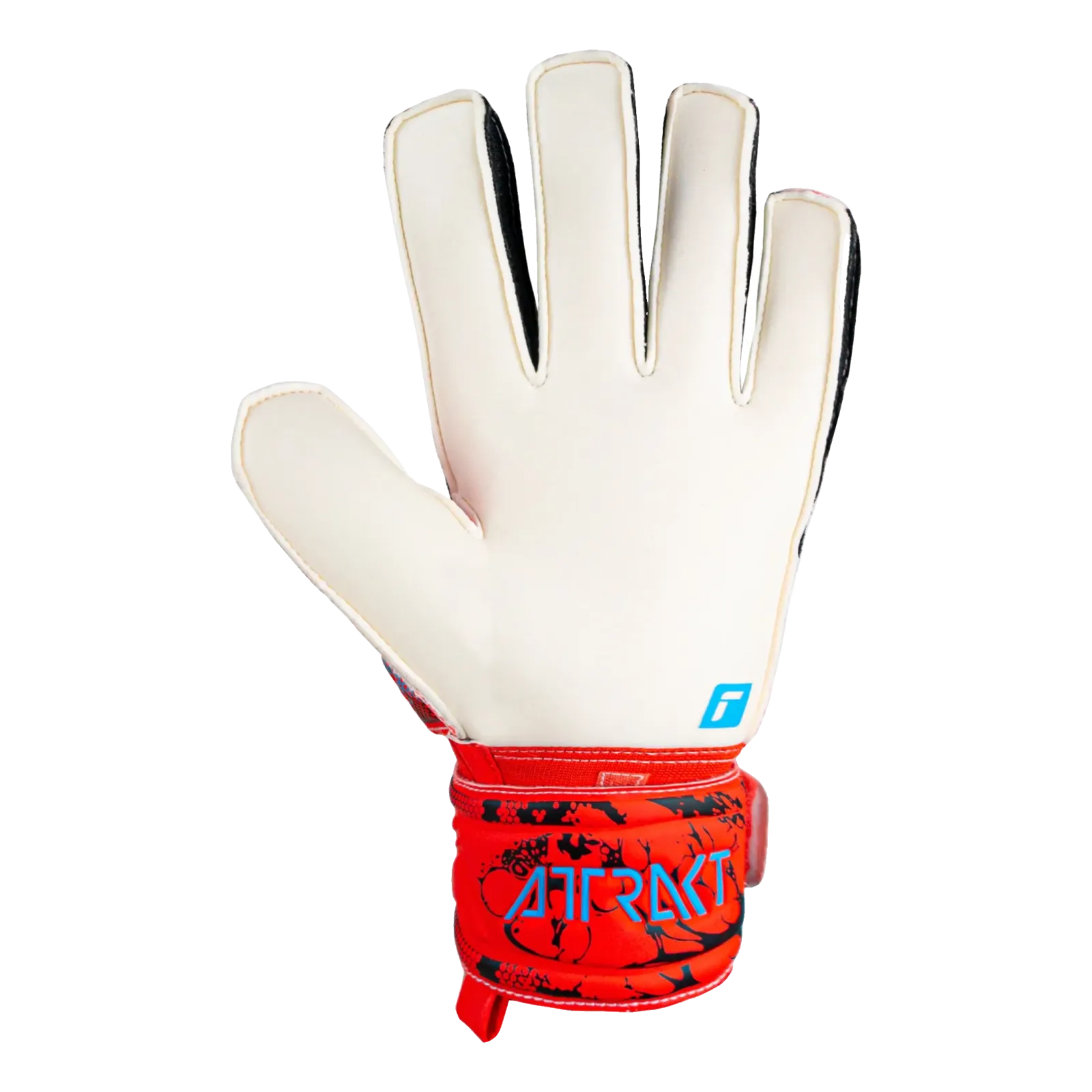 Gants de gardien Attrakt Solid