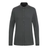 Gris cendre