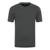 Gris cendre