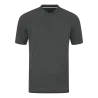 Gris cendre