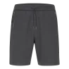 Gris cendre