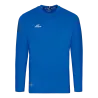 Bleu roy