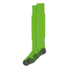Vert gecko