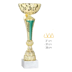 Coupe Promo 2020-7
