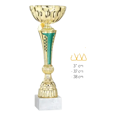 Coupe Promo 2020-7