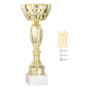 Coupe Promo 2020-7