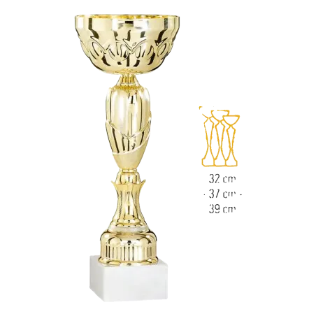 Coupe Promo 2020-7