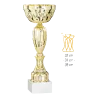 Coupe Promo 2020-7