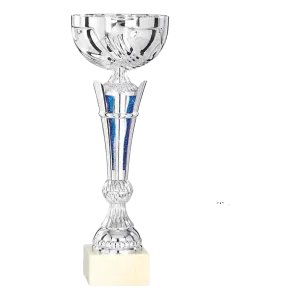 Coupe Promo 2020-7