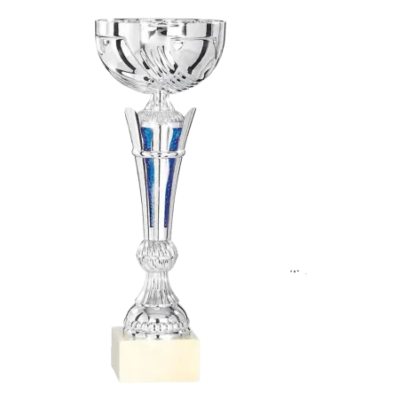 Coupe Promo 2020-7