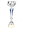 Coupe Promo 2020-7