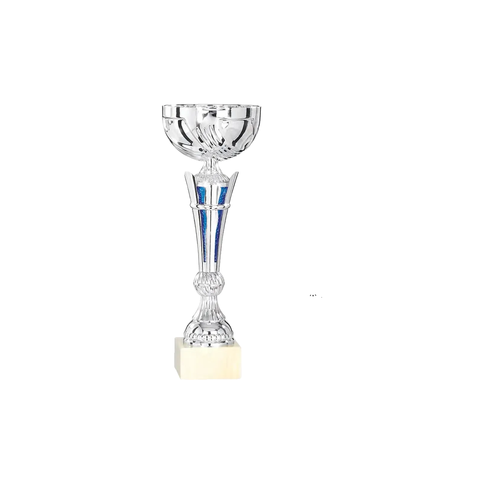 Coupe Promo 2020-7