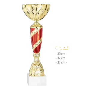 Coupe Promo 2020-7