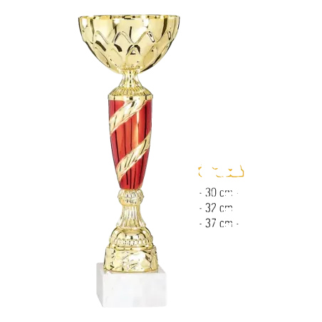 Coupe Promo 2020-7
