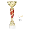Coupe Promo 2020-7