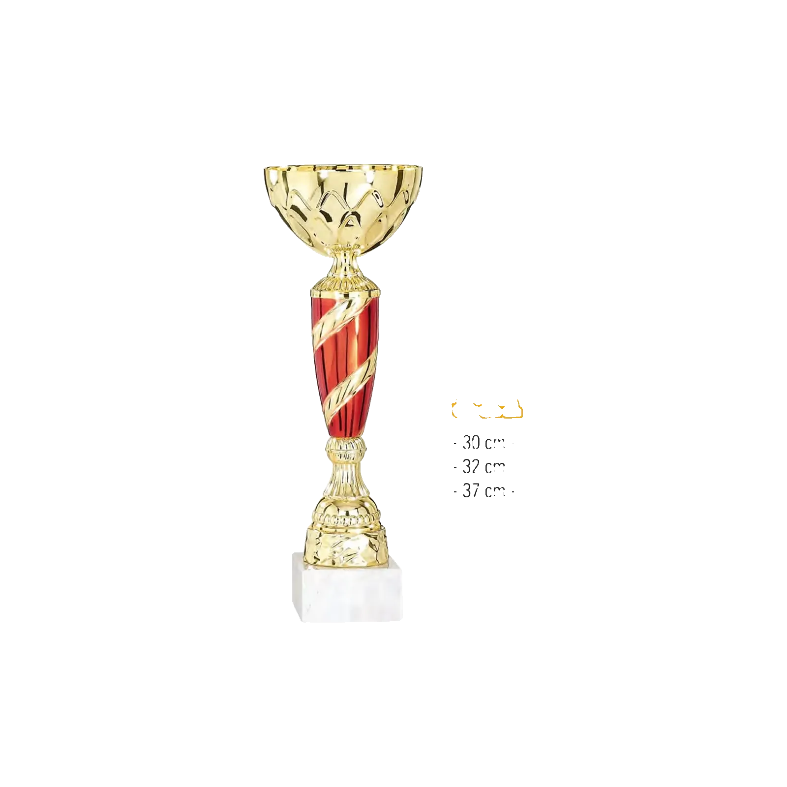 Coupe Promo 2020-7