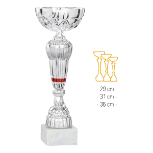 Coupe Promo 2020-7