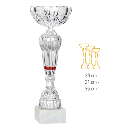 Coupe Promo 2020-7