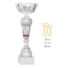 Coupe Promo 2020-7