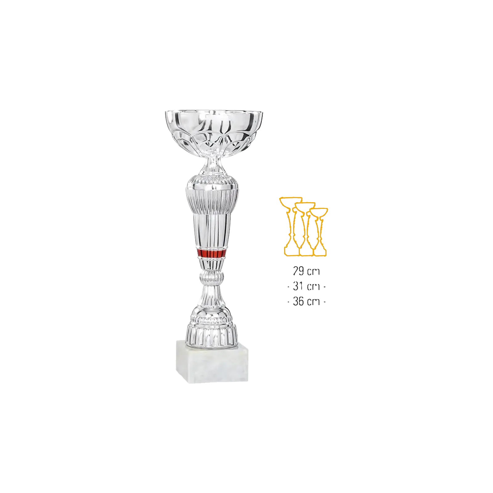 Coupe Promo 2020-7