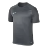 065 - Gris profond/Gris foncé