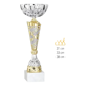 Coupe Promo 2020-7