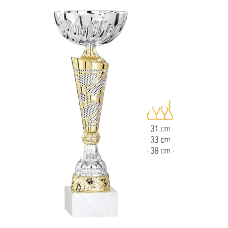 Coupe Promo 2020-7