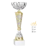 Coupe Promo 2020-7