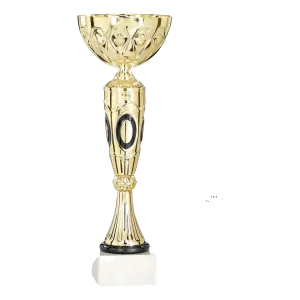 Coupe Promo 2020-7