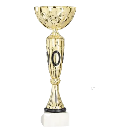 Coupe Promo 2020-7