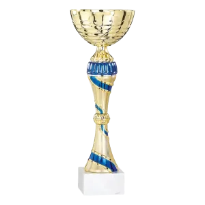 Coupe Promo 2020-7