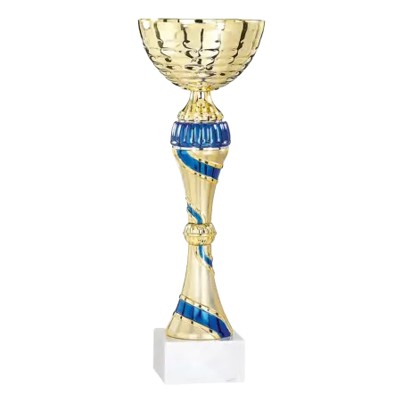 Coupe Promo 2020-7
