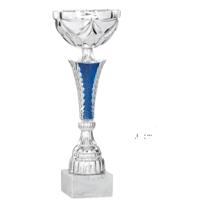 Coupe Promo 2020-7