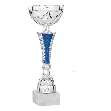 Coupe Promo 2020-7