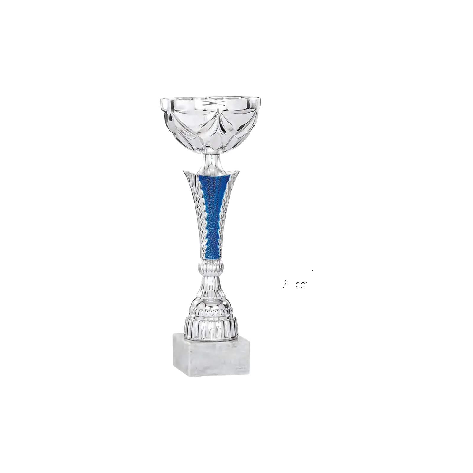 Coupe Promo 2020-7