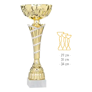 Coupe Promo 2020-8