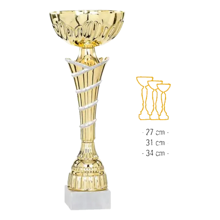 Coupe Promo 2020-8