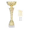 Coupe Promo 2020-8