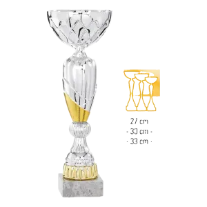 Coupe Promo 2020-8
