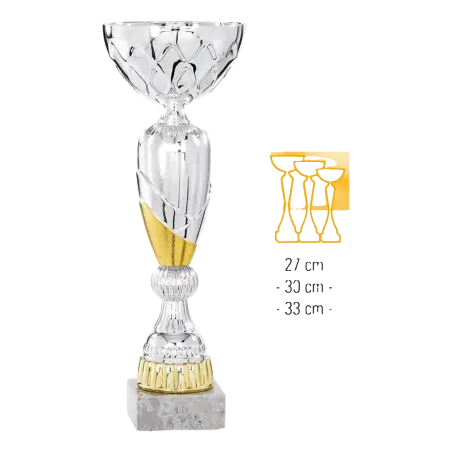 Coupe Promo 2020-8