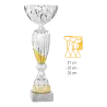 Coupe Promo 2020-8