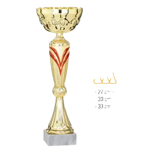 Coupe Promo 2020-8