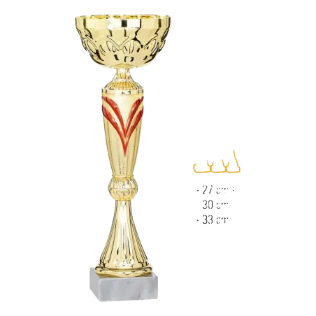 Coupe Promo 2020-8