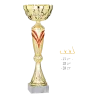 Coupe Promo 2020-8